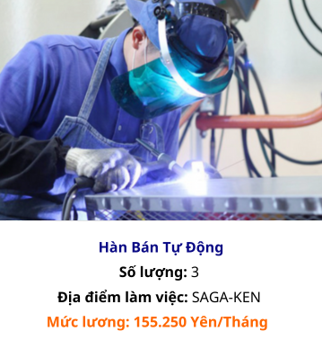 đơn nhật hàn bán tự động