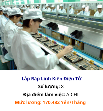 đơn nhật lắp ráp linh điện