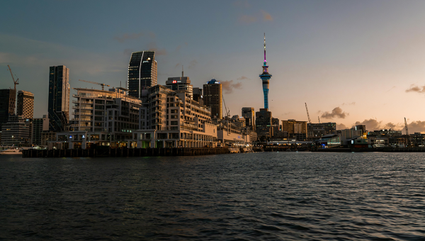 pexels-donovan-kelly-110228397-17824128